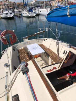 Un dodo sur les flots